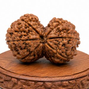 gauri-shankar-rudraksha-%e0%a4%97%e0%a5%8c%e0%a4%b0%e0%a5%80-%e0%a4%b6%e0%a4%82%e0%a4%95%e0%a4%b0-%e0%a4%b0%e0%a5%81%e0%a4%a6%e0%a5%8d%e0%a4%b0%e0%a4%be%e0%a4%95%e0%a5%8d%e0%a4%b7