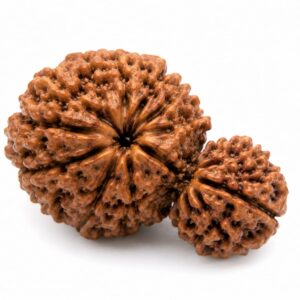 garbh-gauri-rudraksha-%e0%a4%97%e0%a4%b0%e0%a5%8d%e0%a4%ad-%e0%a4%97%e0%a5%8c%e0%a4%b0%e0%a5%80-%e0%a4%b0%e0%a5%81%e0%a4%a6%e0%a5%8d%e0%a4%b0%e0%a4%be%e0%a4%95%e0%a5%8d%e0%a4%b7